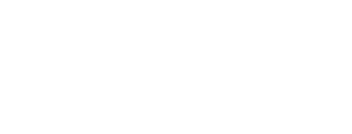 TĚŠÍNSKÁ DAŇOVÁ SPOLEČNOST s.r.o.